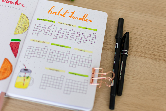habit-tracker-bullet-journal-aout-2021-plan-with-me