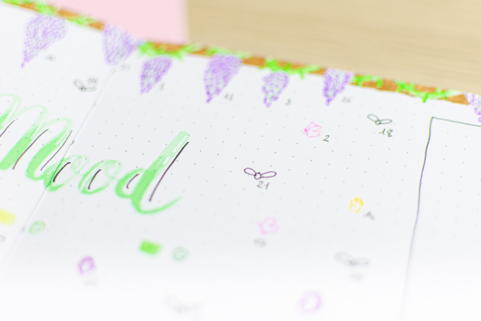 details-mood-tracker-bullet-journal-mai-2022-plan-with-me