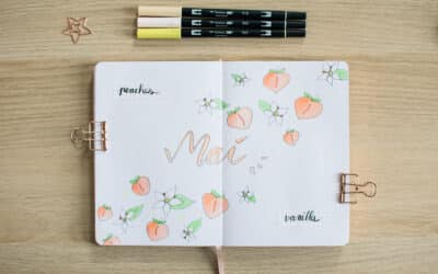 Bullet Journal – Mai 2023 – Plan with me