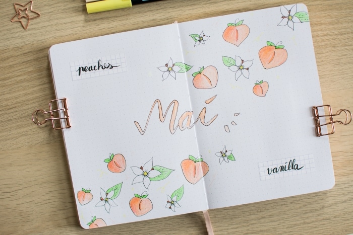 couverture-bullet-journal-mai-2023-plan-with-me