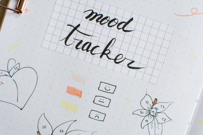 details-mood-tracker-bullet-journal-mai-2023-plan-with-me