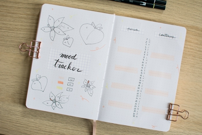 mood-tracker-calendrier-bullet-journal-mai-2023-plan-with-me