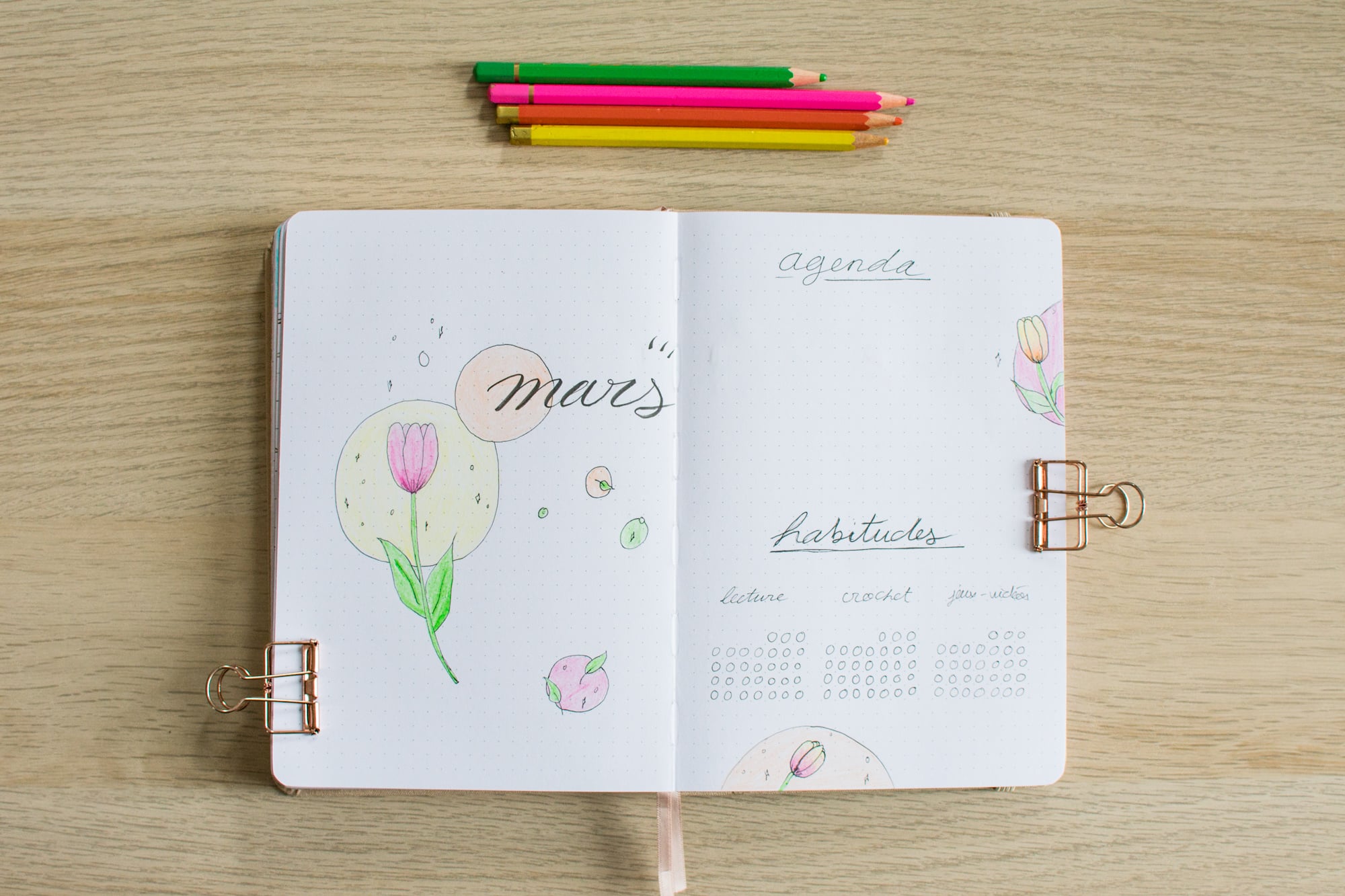 bullet-journal-mars-2024-plan-with-me