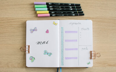 Bullet Journal – Mai 2024 – Plan with me